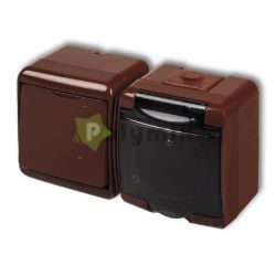  GAO-DWI Aquastar Kapcsol+dugalj IP54 Vzszintes, 10AX 250V~; 16A 250V~ barna