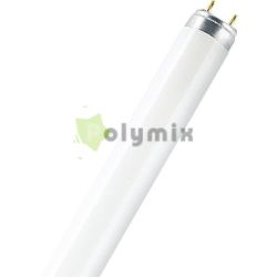  OSRAM 58W T8 fnycs 4200K